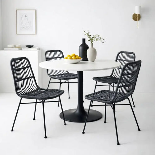 Chaise en Rotin avec Cadre en Métal