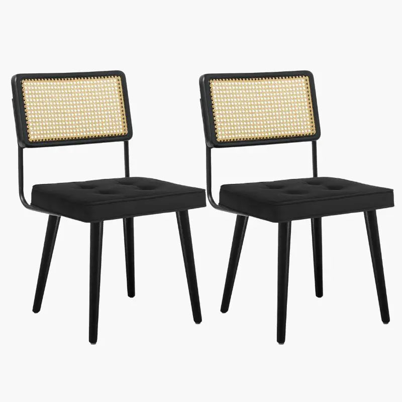 Lot de 2 Chaises en Rotin Pour Salle à Manger