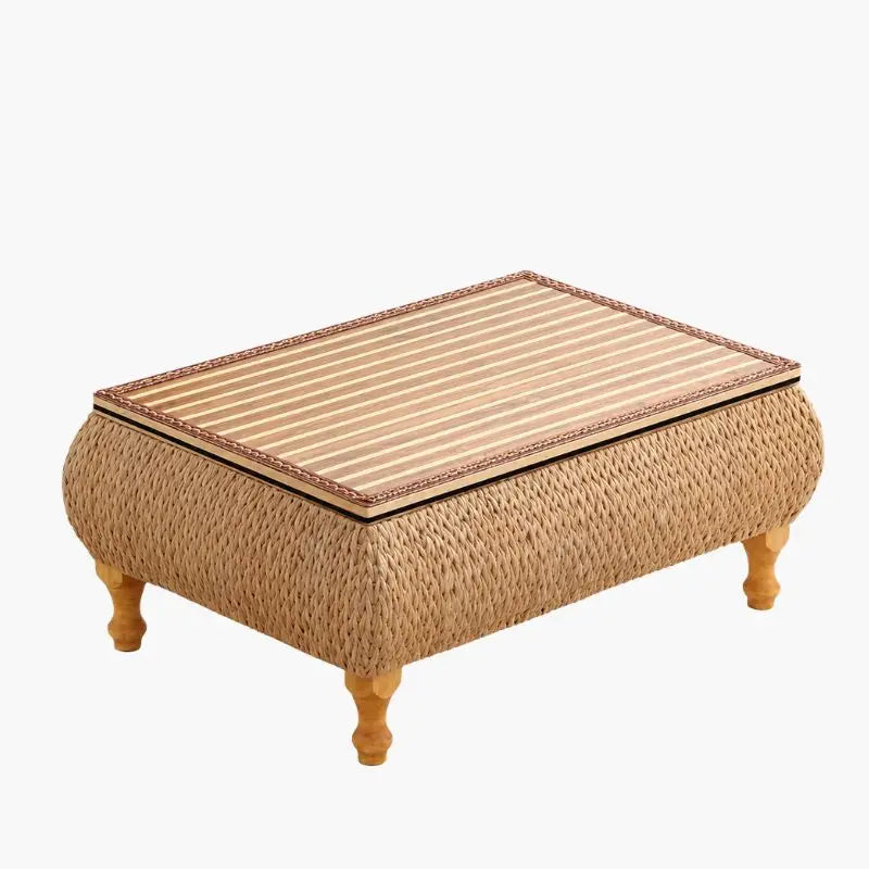 Petite Table Basse avec Rangement